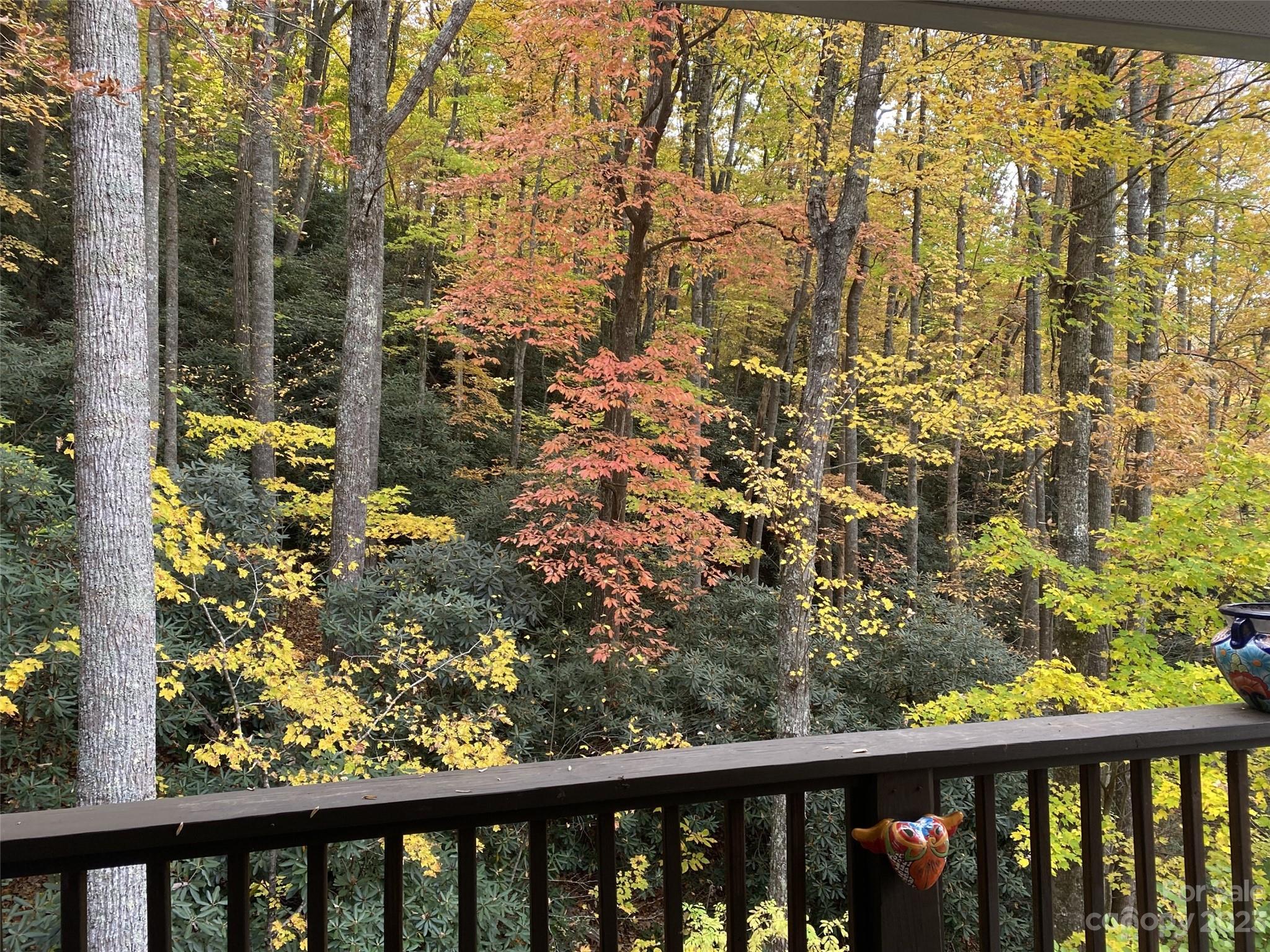 32 Hunting Lodge Drive Black Mountain NC 28711