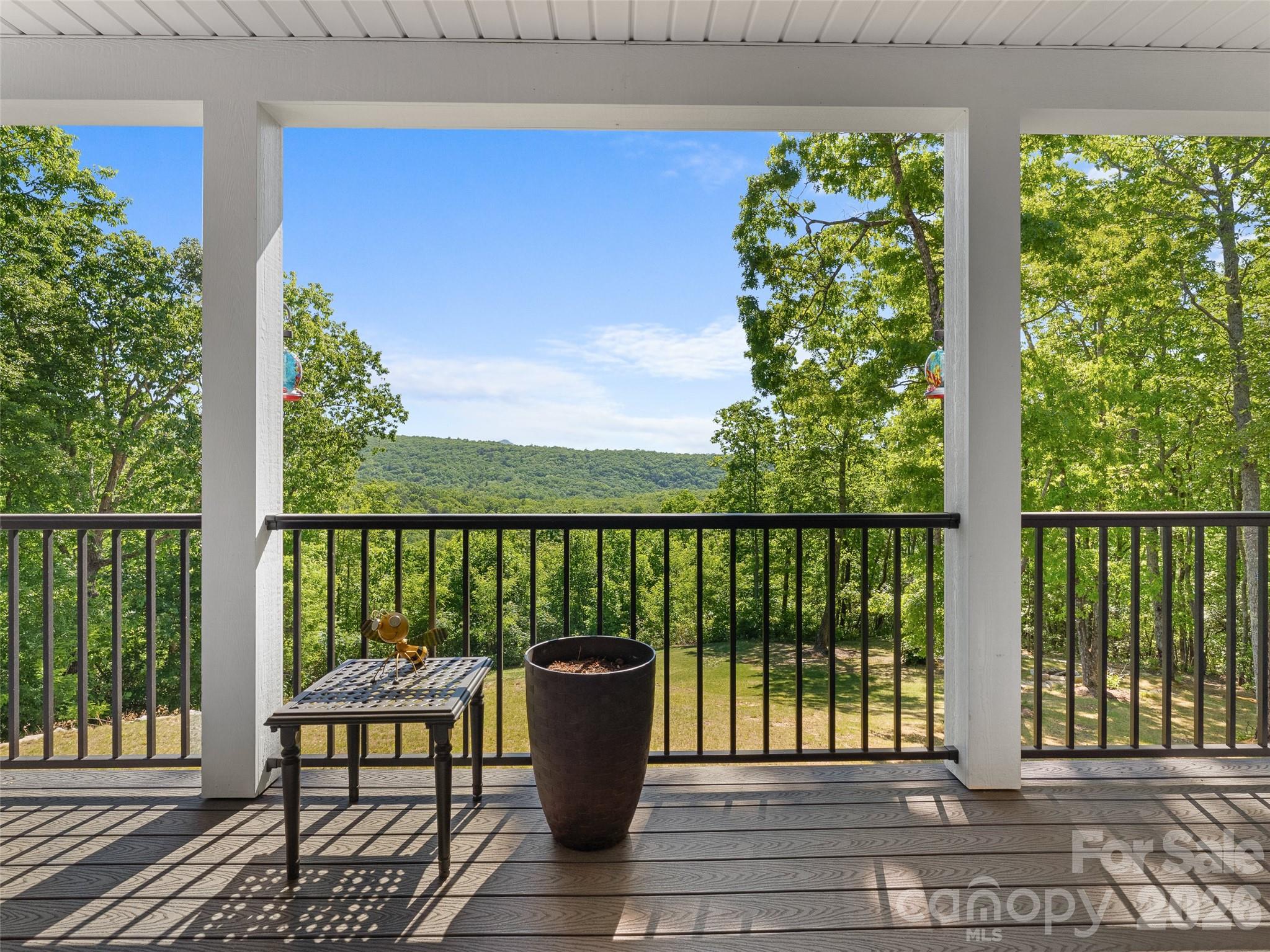 852 Marshall Ridge Road Edneyville NC 28792