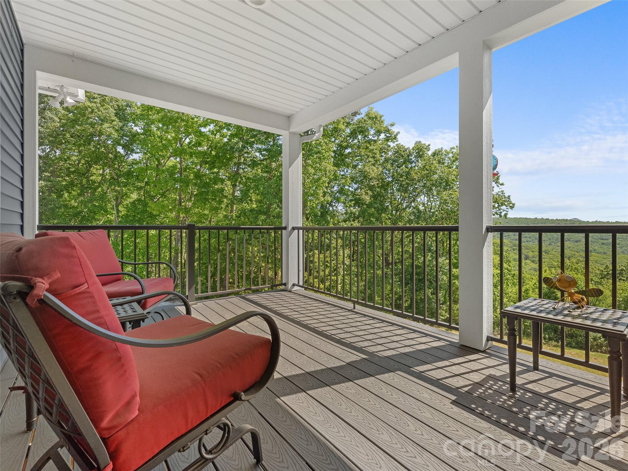 852 Marshall Ridge Road Edneyville NC 28792