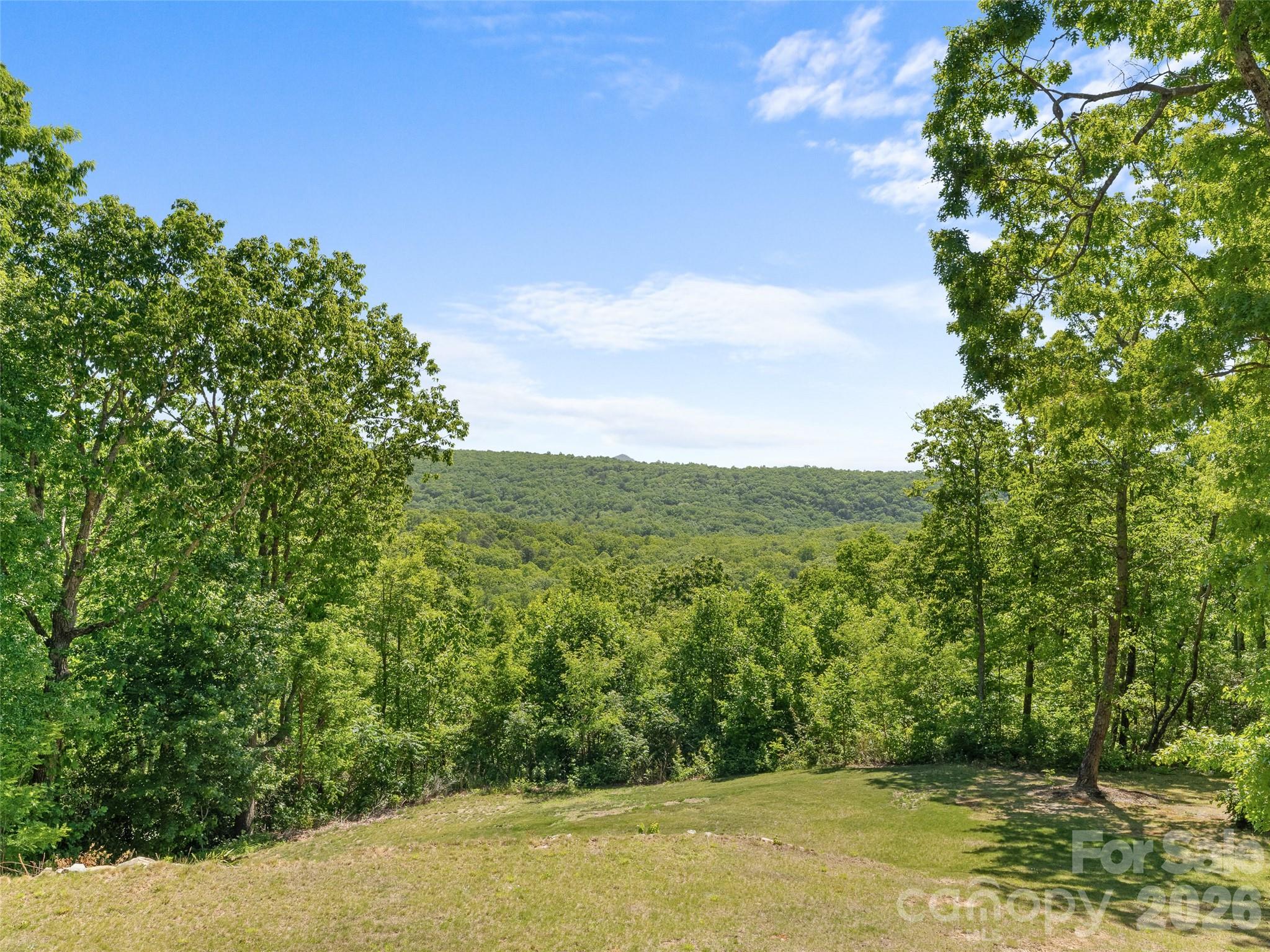 852 Marshall Ridge Road Edneyville NC 28792