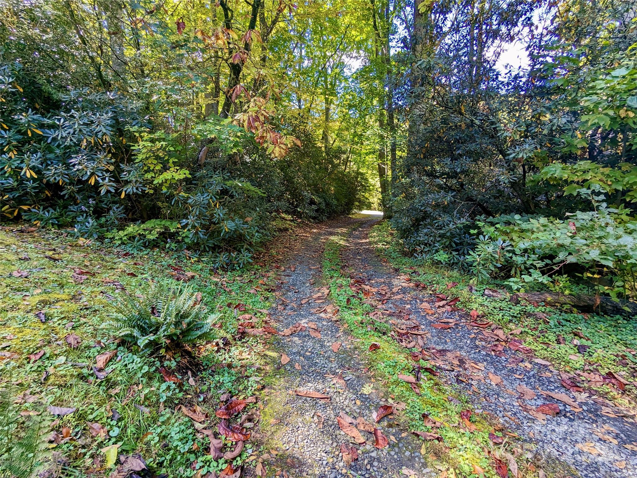 46 Tree Farm Road Spruce Pine NC 28777