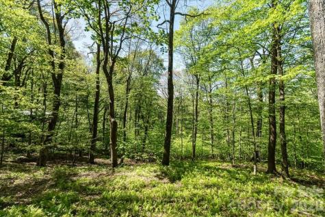 524 Mcdaris Loop Drive Mars Hill NC 28754