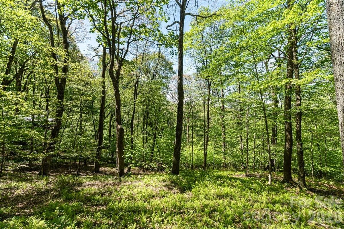 524 Mcdaris Loop Drive Mars Hill NC 28754