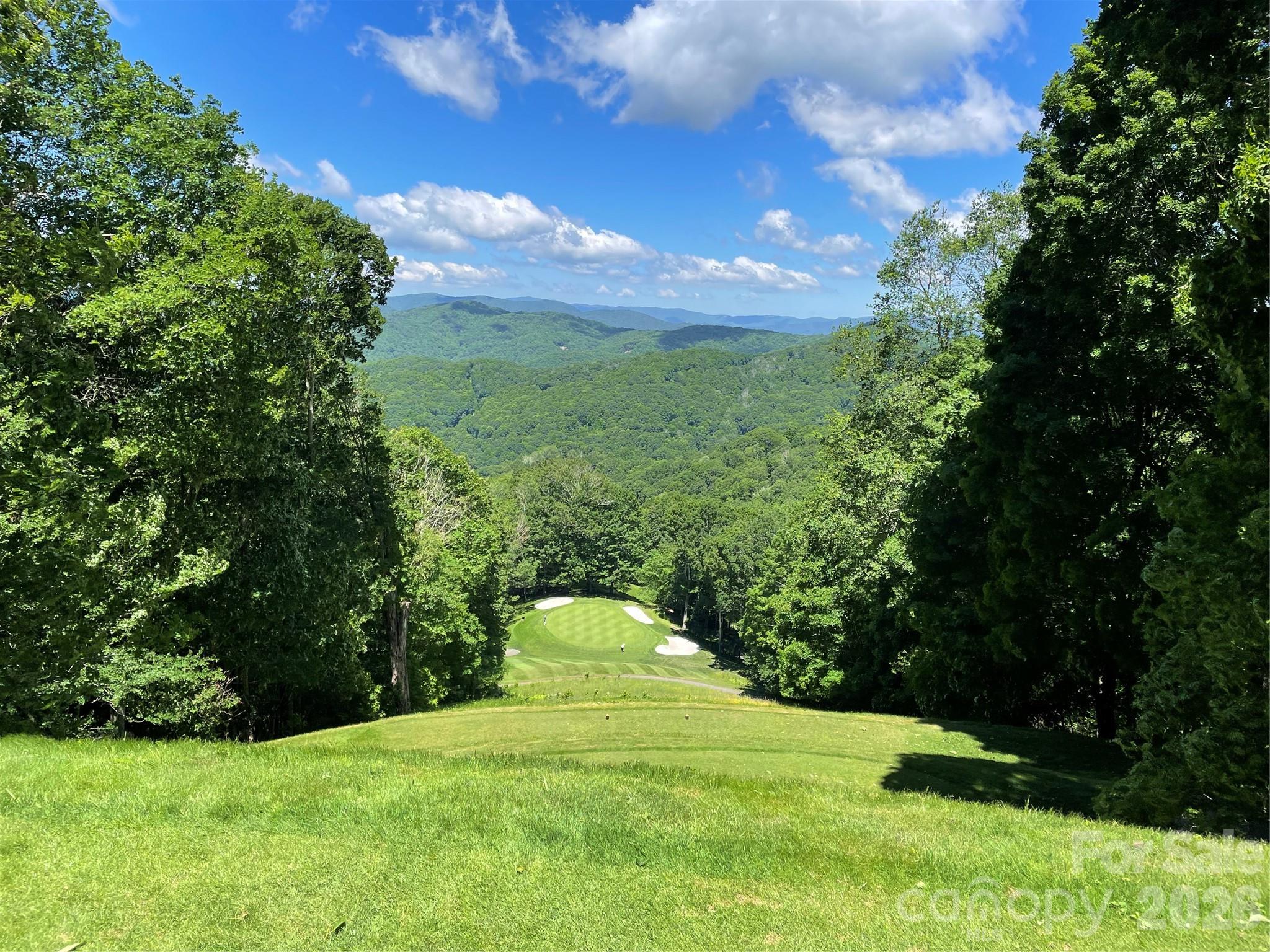 524 Mcdaris Loop Drive Mars Hill NC 28754