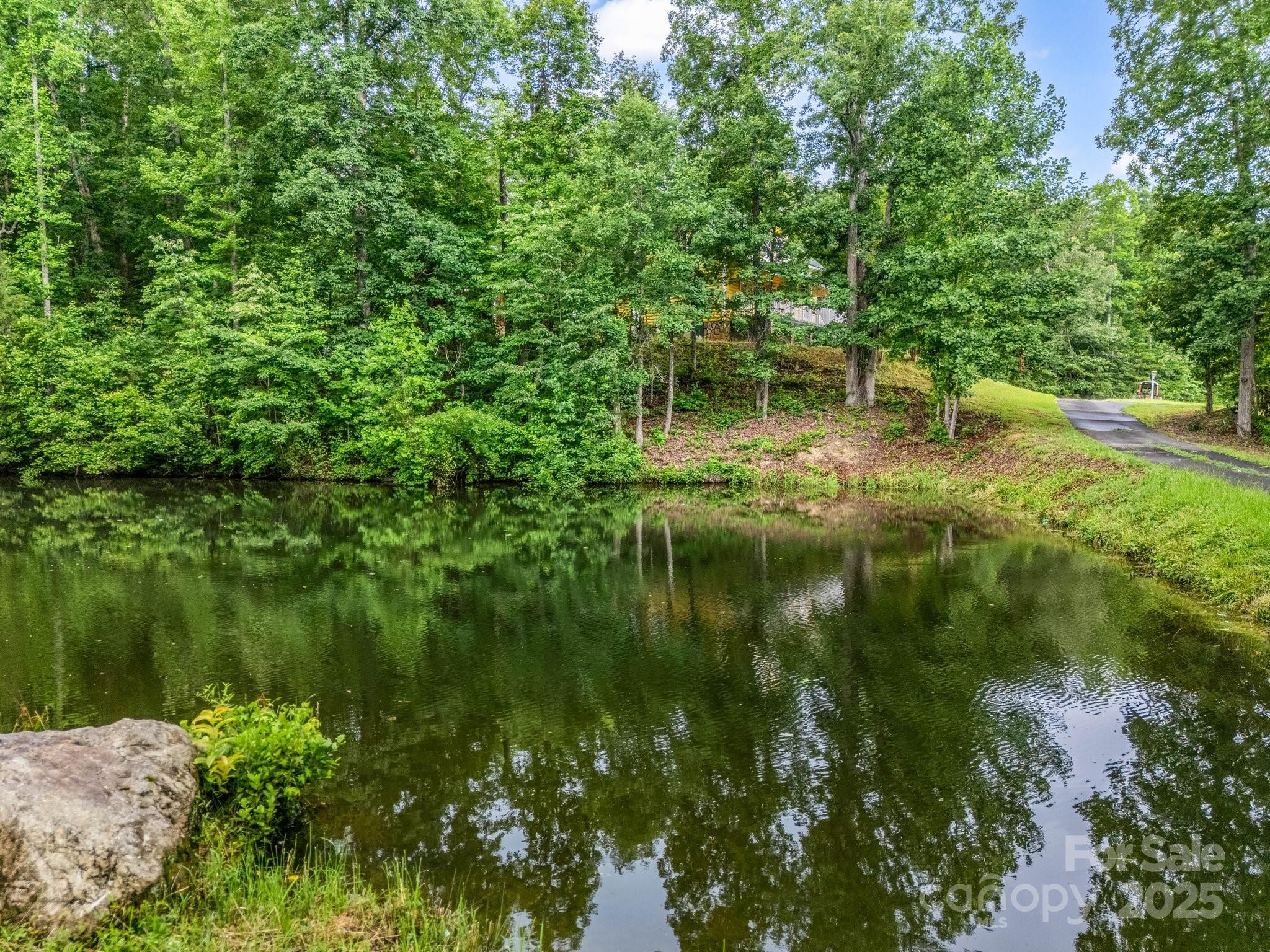 4086 Big Island Road Rutherfordton NC 28139
