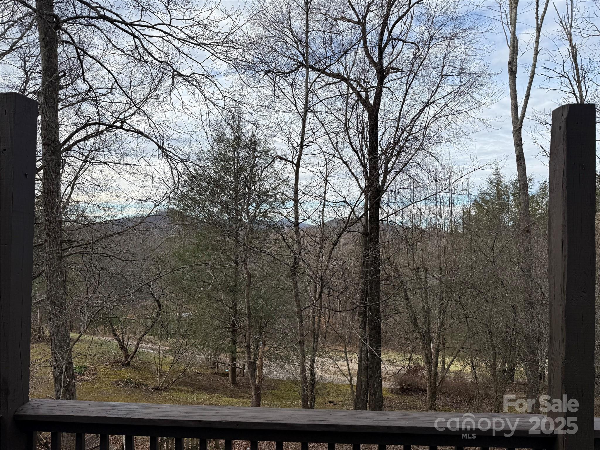 55 Twin Oaks Lane Spruce Pine NC 28777