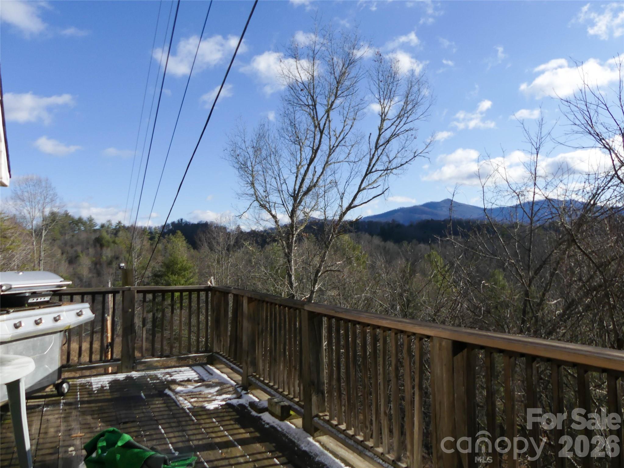 722 Union Hill Ridge Road Green Mountain NC 28740