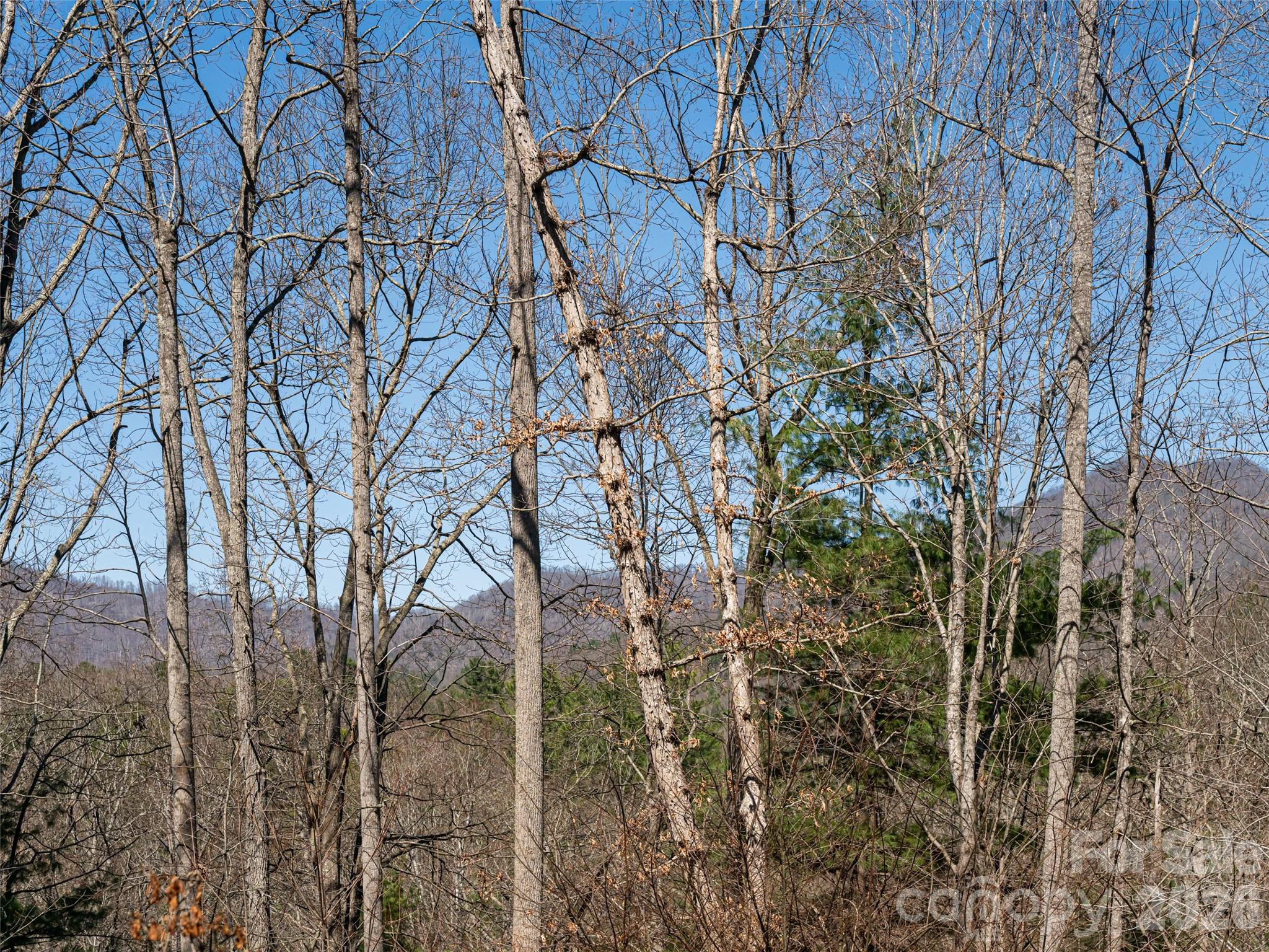 39 Oak Hollow Drive Asheville NC 28805