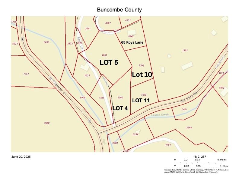 65 Roy Lane Black Mountain NC 28711
