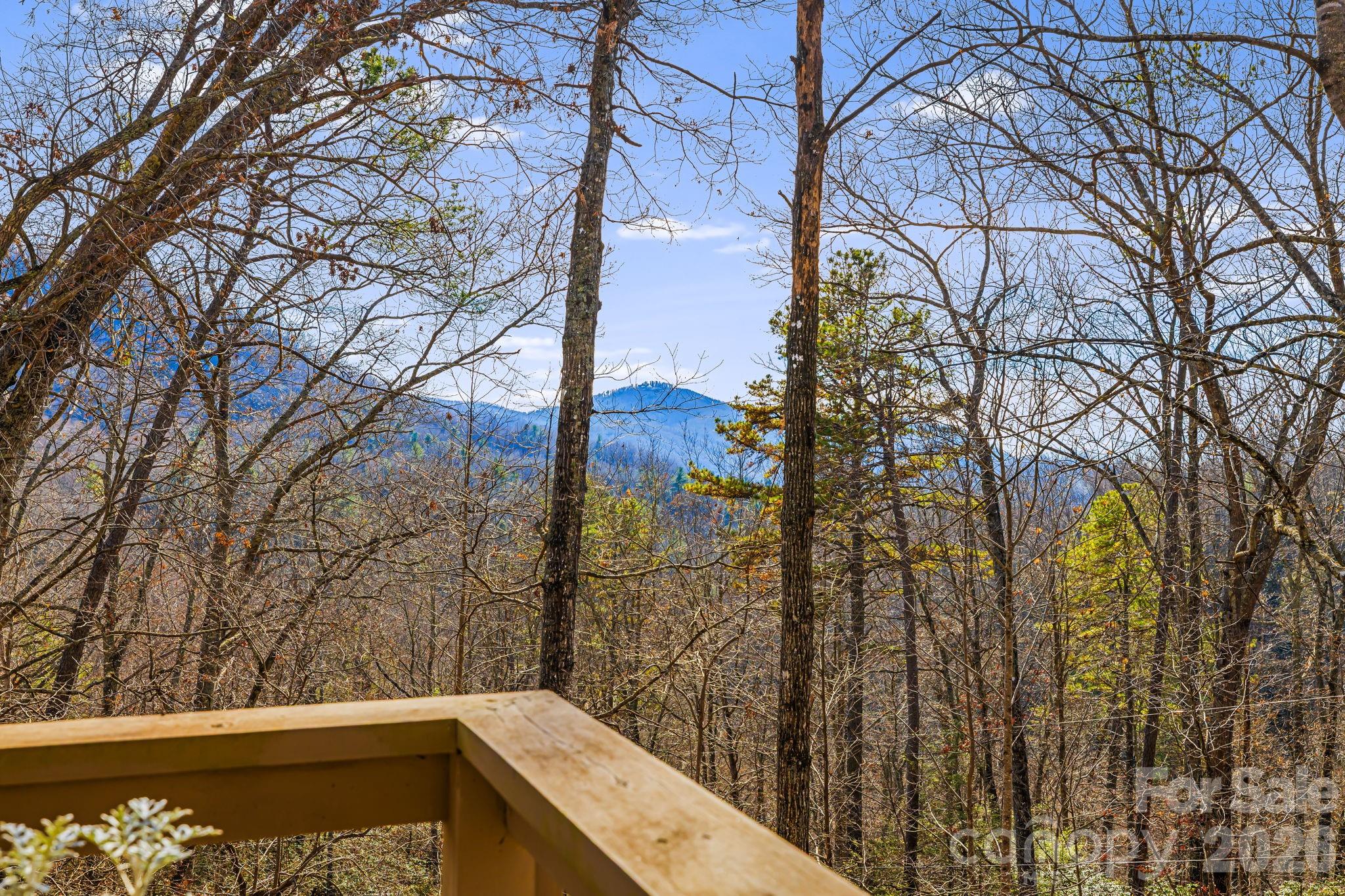 65 Roy Lane Black Mountain NC 28711