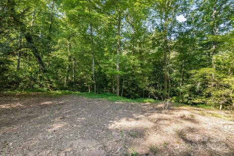 750 Braewick Road Tryon NC 28782