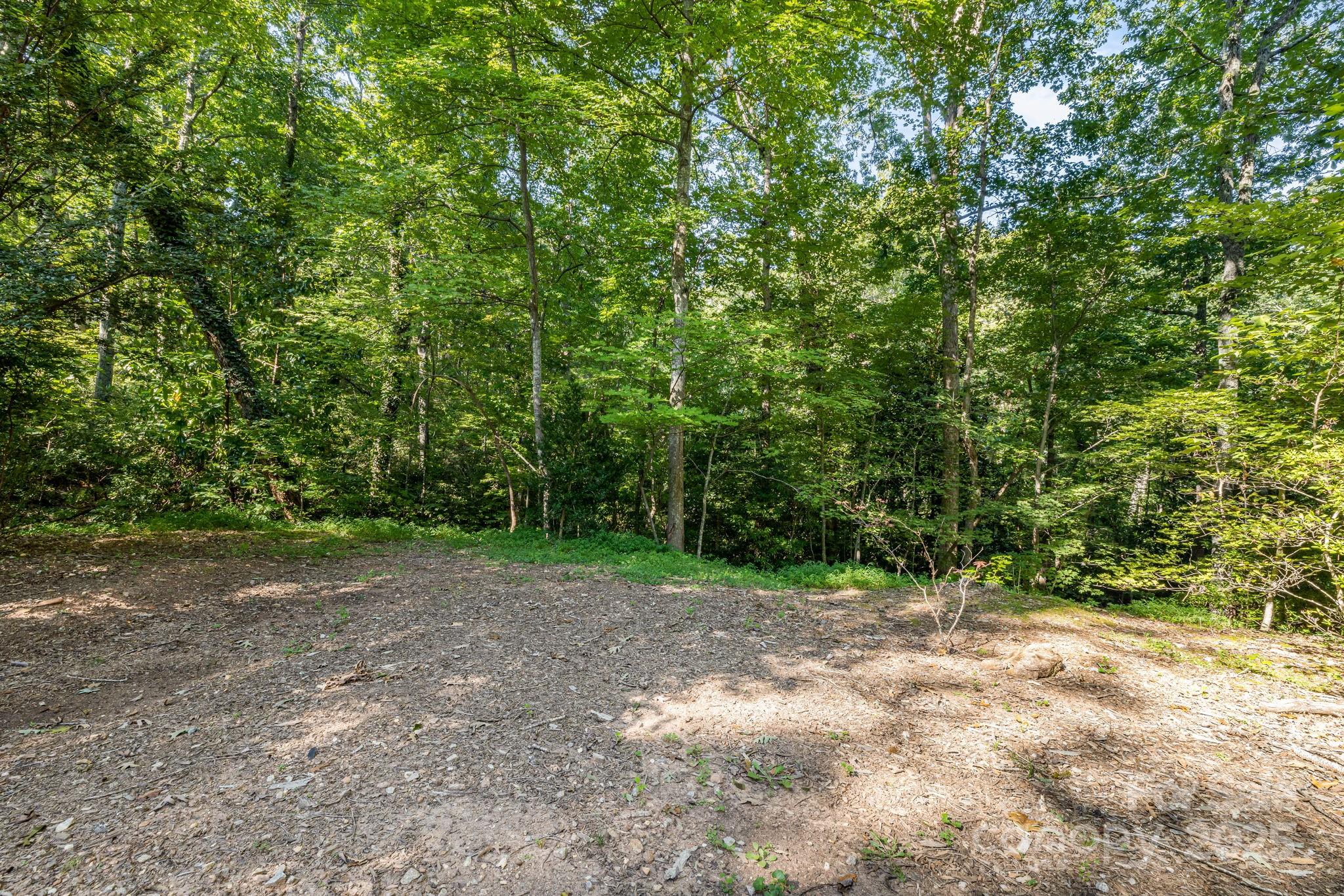 750 Braewick Road Tryon NC 28782