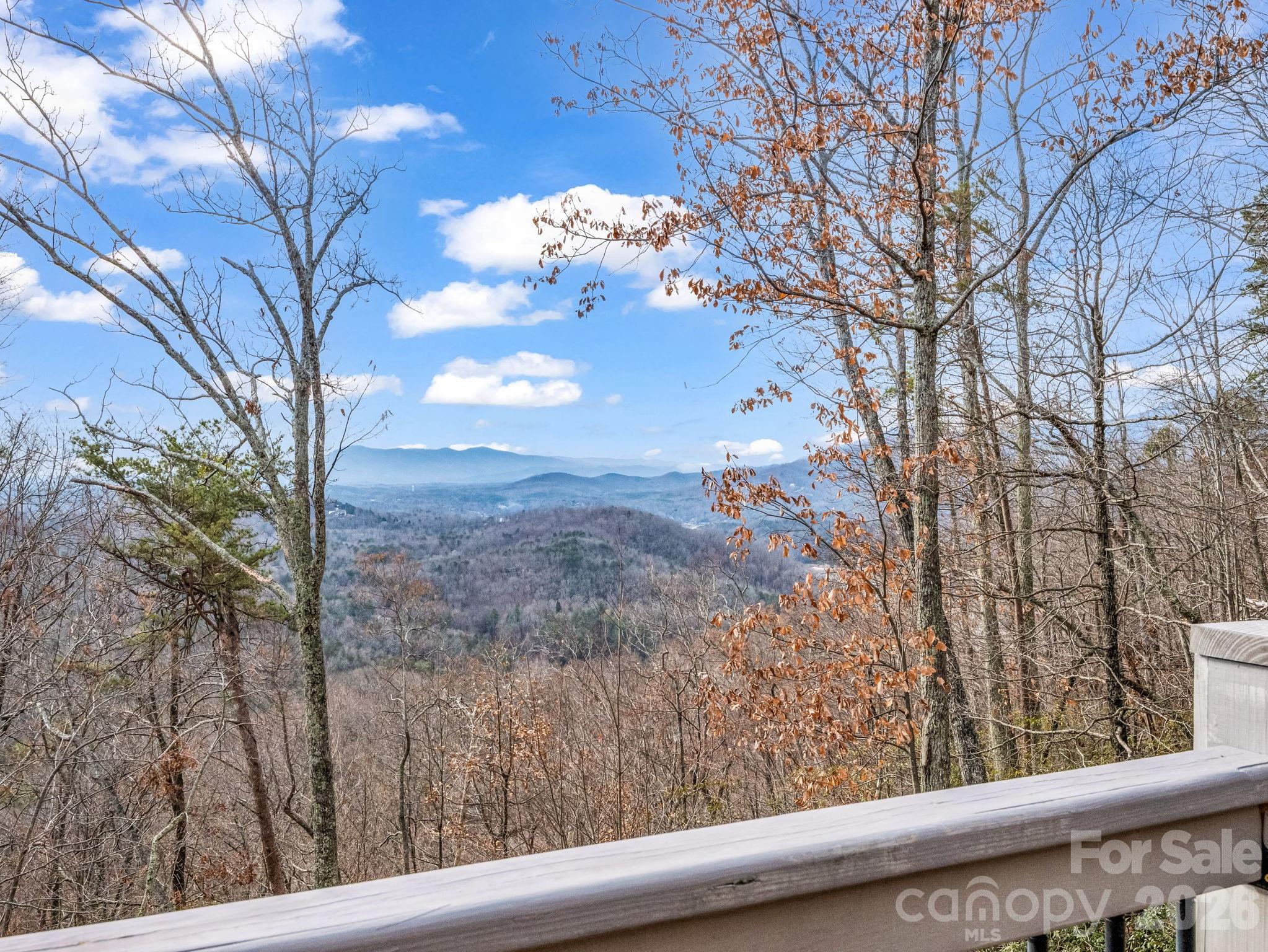 110 Chetan Way Lake Lure NC 28746