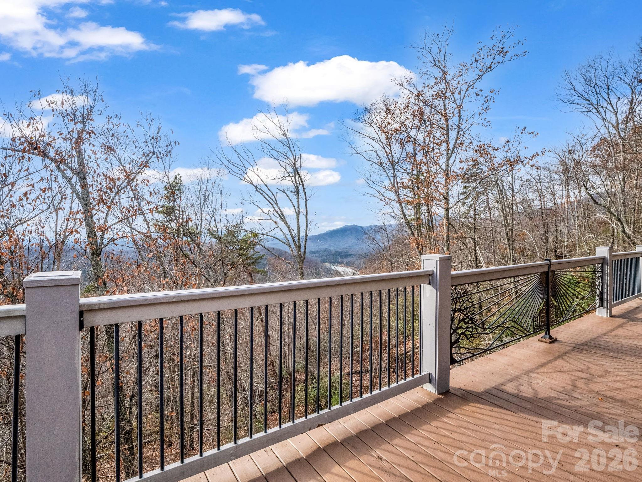 110 Chetan Way Lake Lure NC 28746
