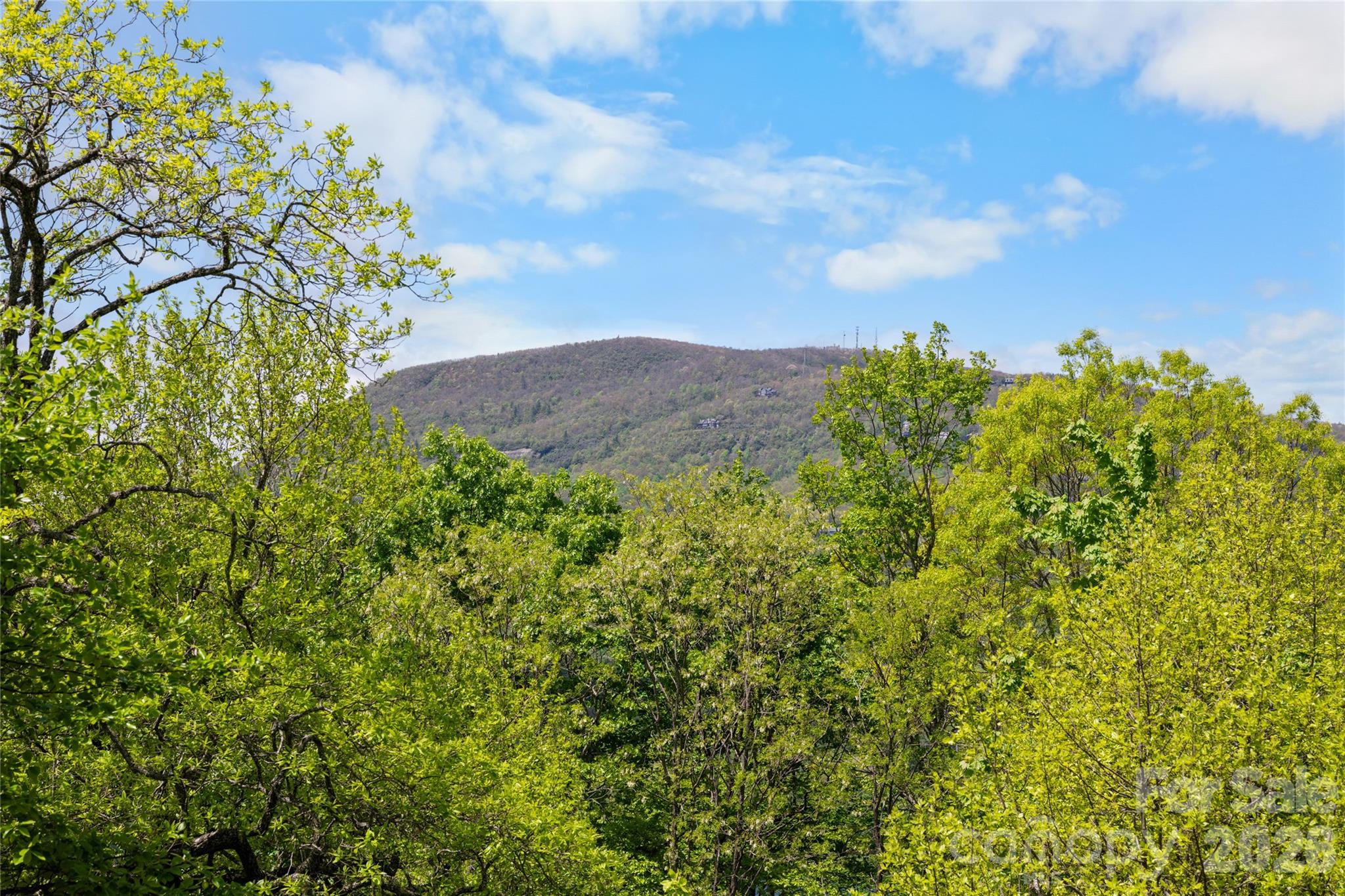 536 Hawk Mountain Road Lake Toxaway NC 28747