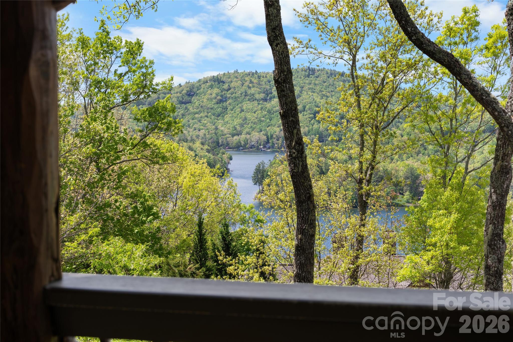 536 Hawk Mountain Road Lake Toxaway NC 28747