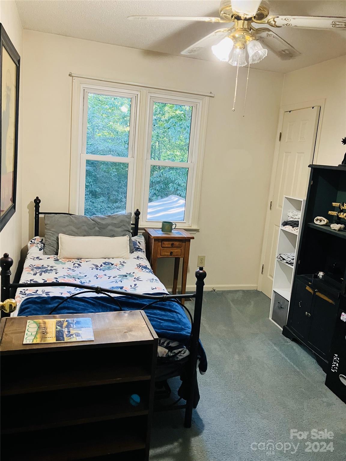 15 Fairview Hills Drive Fairview NC 28730