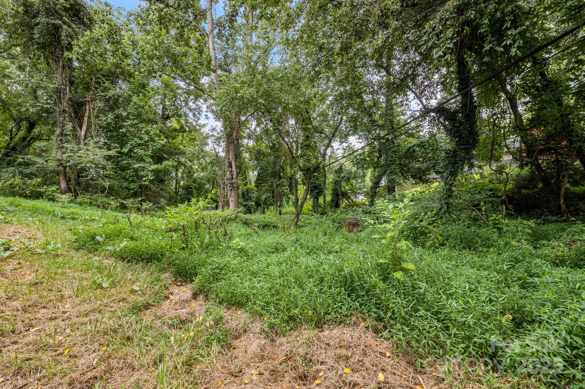 92 Moody Avenue Asheville NC 28715