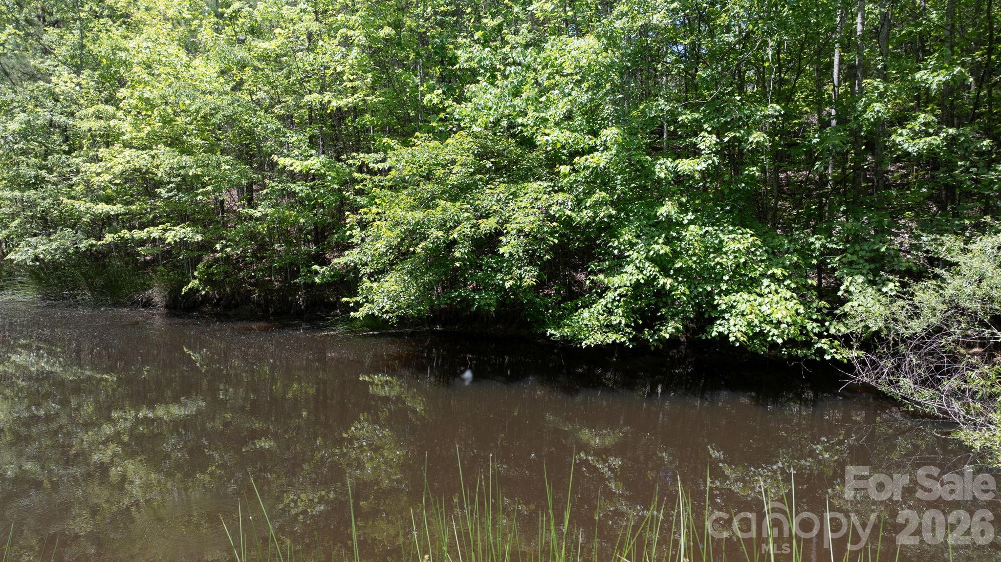 7008 Peyronel Street Connelly Springs NC 28612