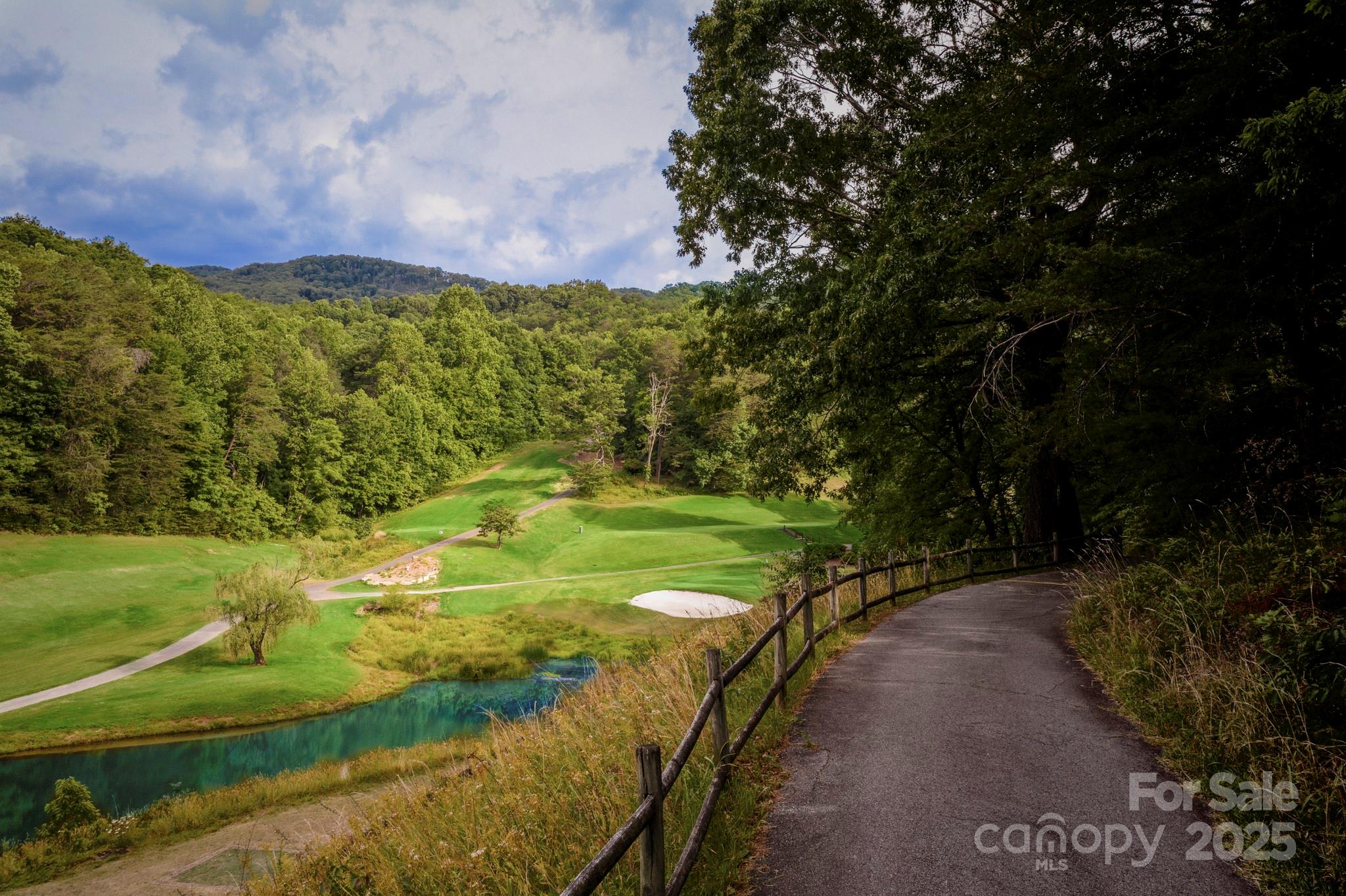 376 Grandview Drive Lake Lure NC 28746