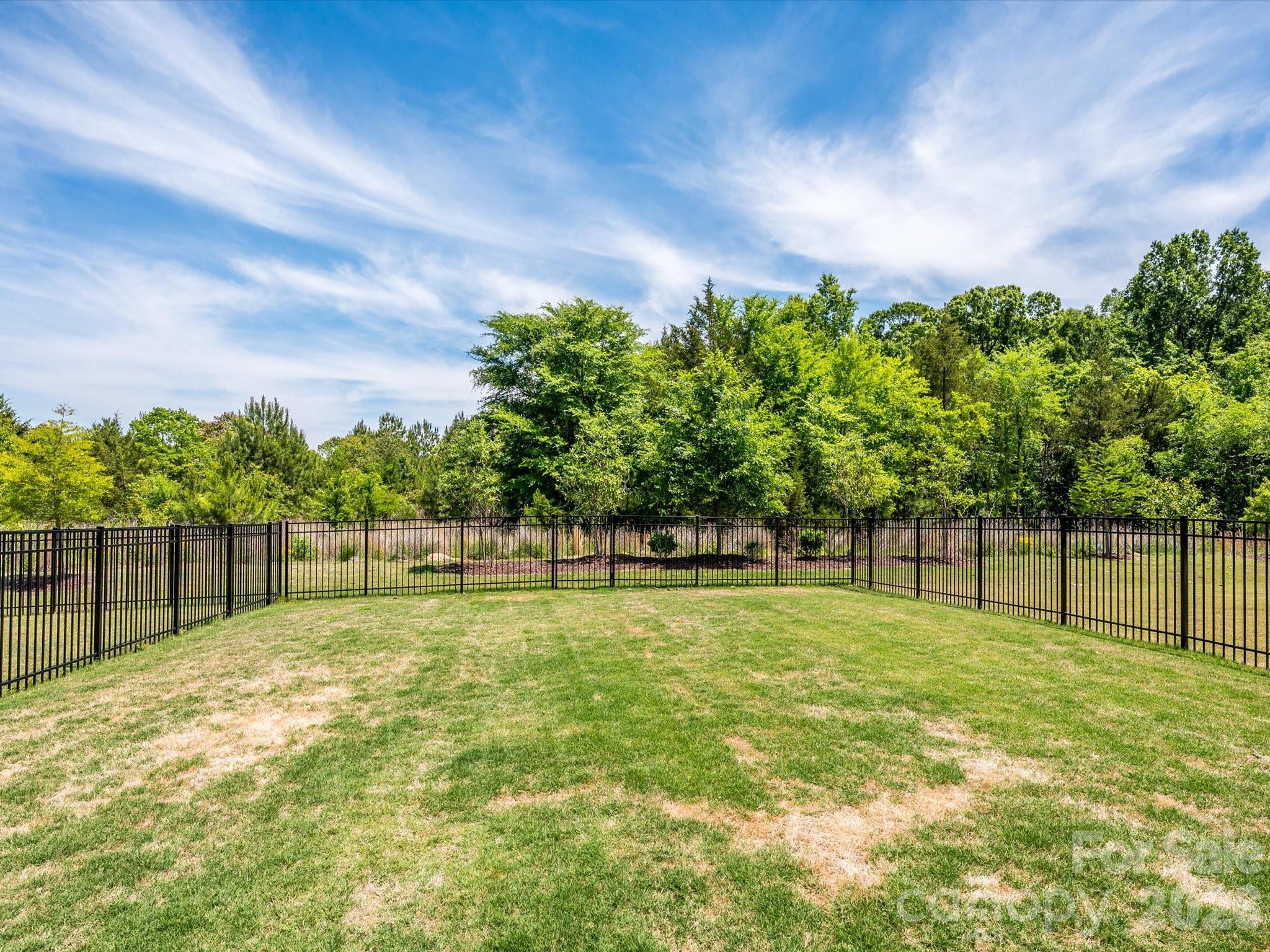 14129 Canemeadow Drive Charlotte NC 28278