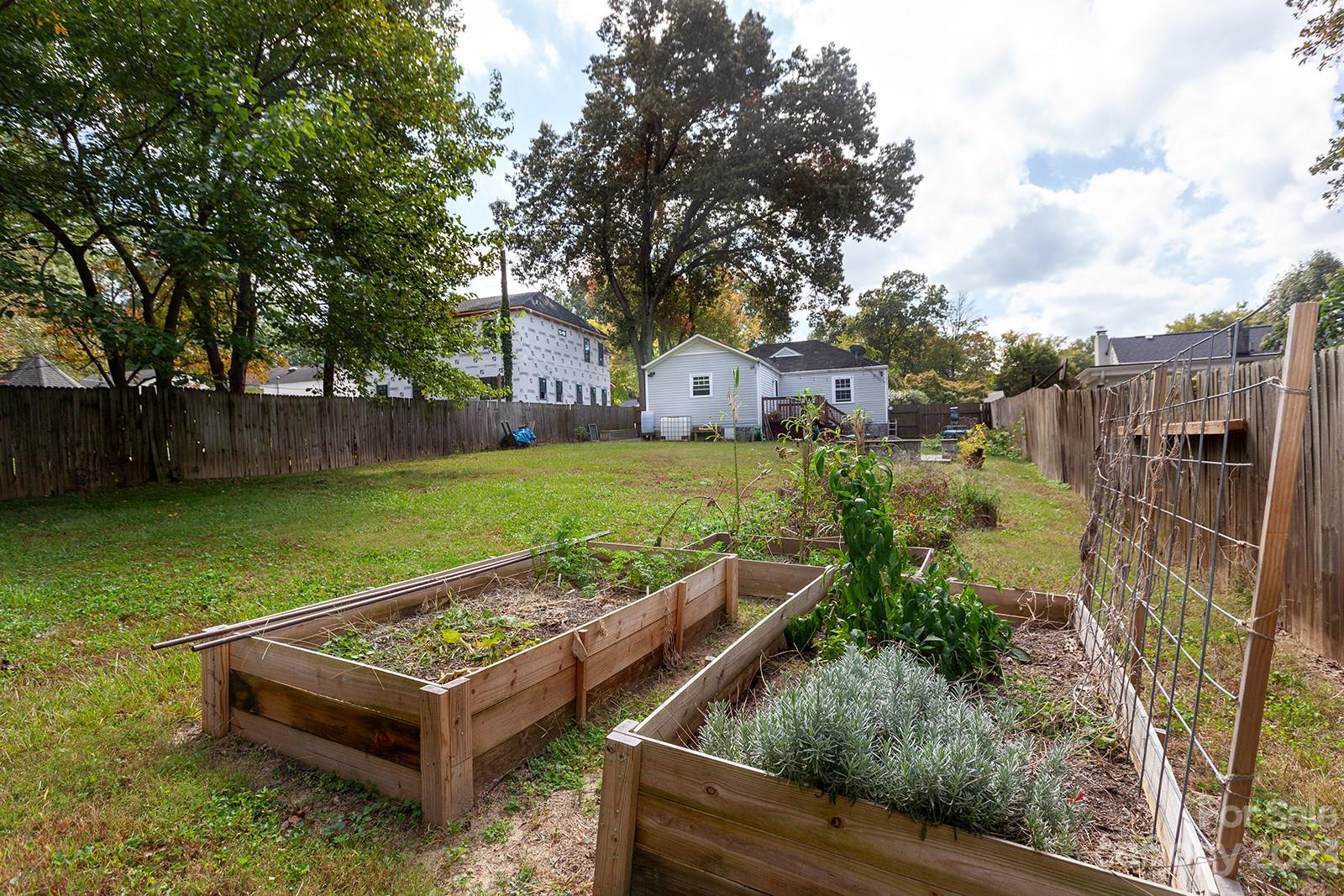 3311 Draper Avenue Charlotte NC 28205