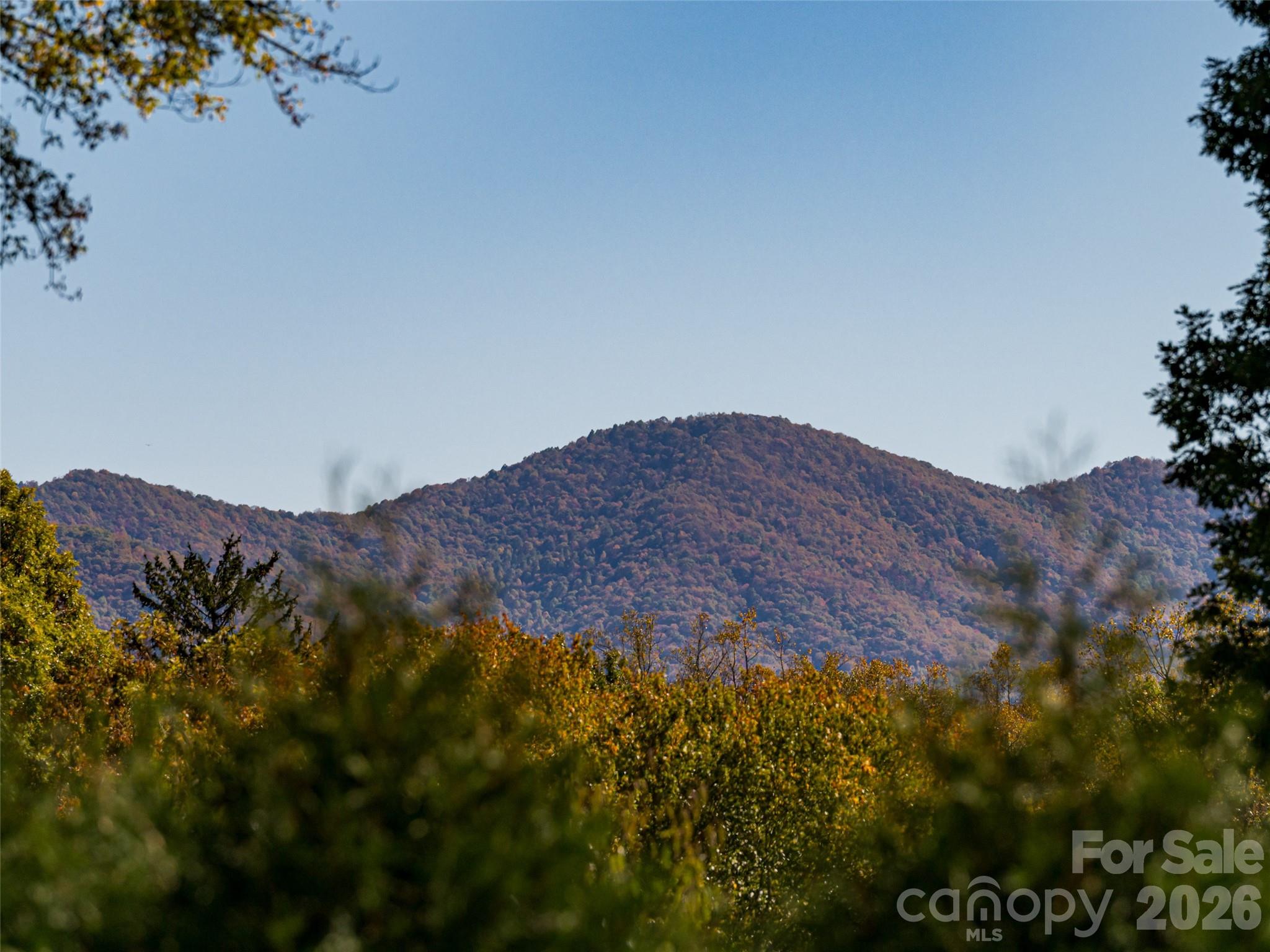 352 Justice Ridge Road Candler NC 28715