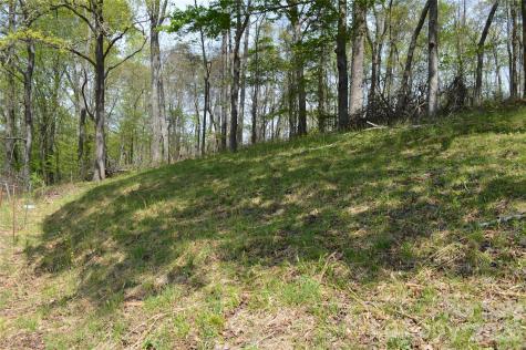 191 Flat Rock Hill Road Tryon NC 28782