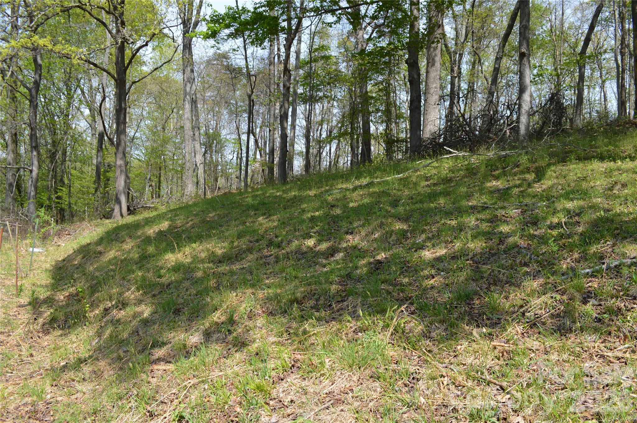 191 Flat Rock Hill Road Tryon NC 28782