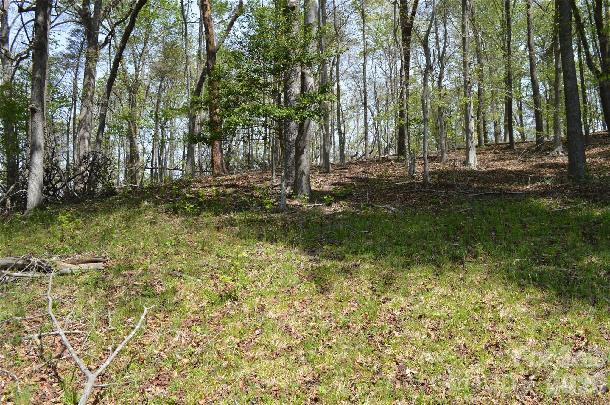 191 Flat Rock Hill Road Tryon NC 28782