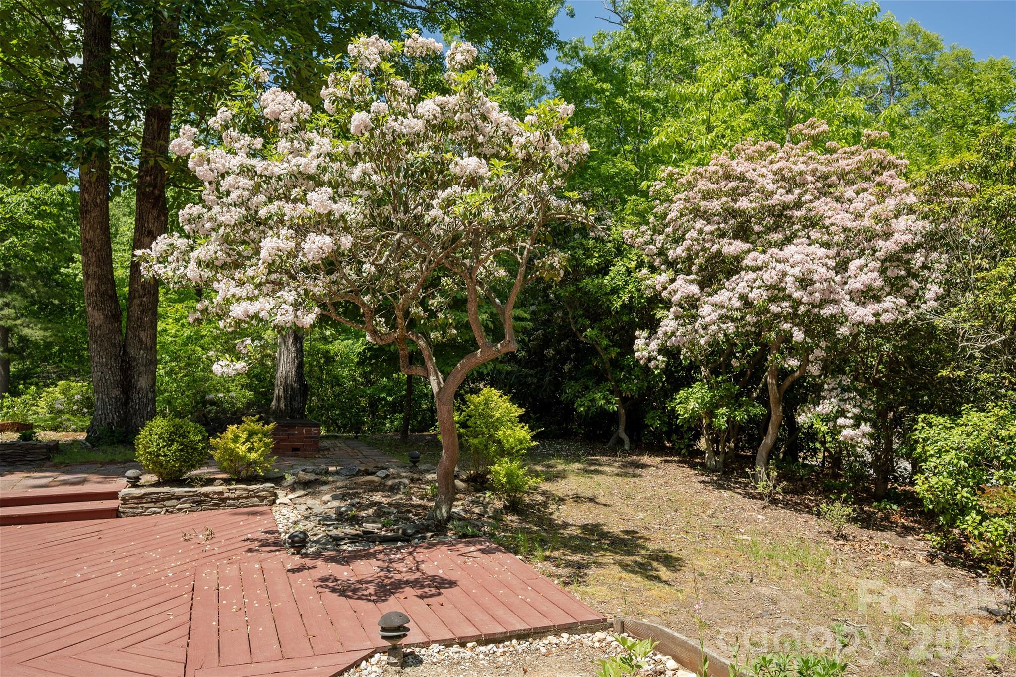 4 Galax Lane Hendersonville NC 28791