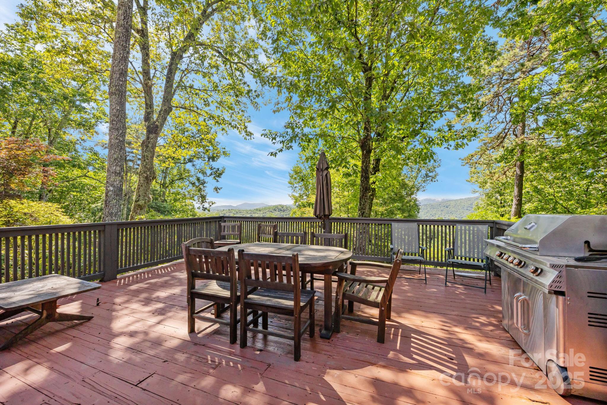 670 Barber Road Zirconia NC 28790