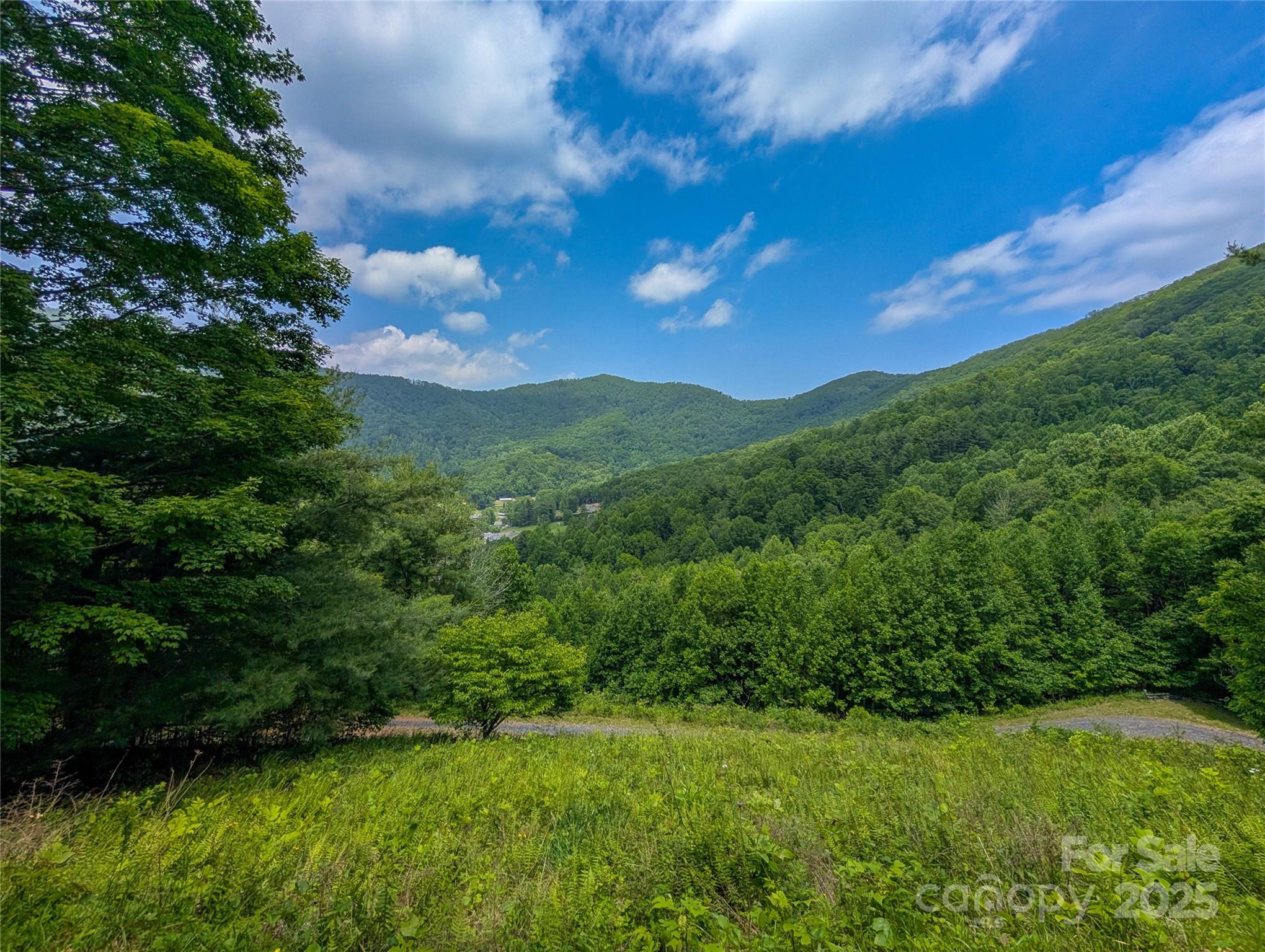 72 Pilgrims Lane Burnsville NC 28714