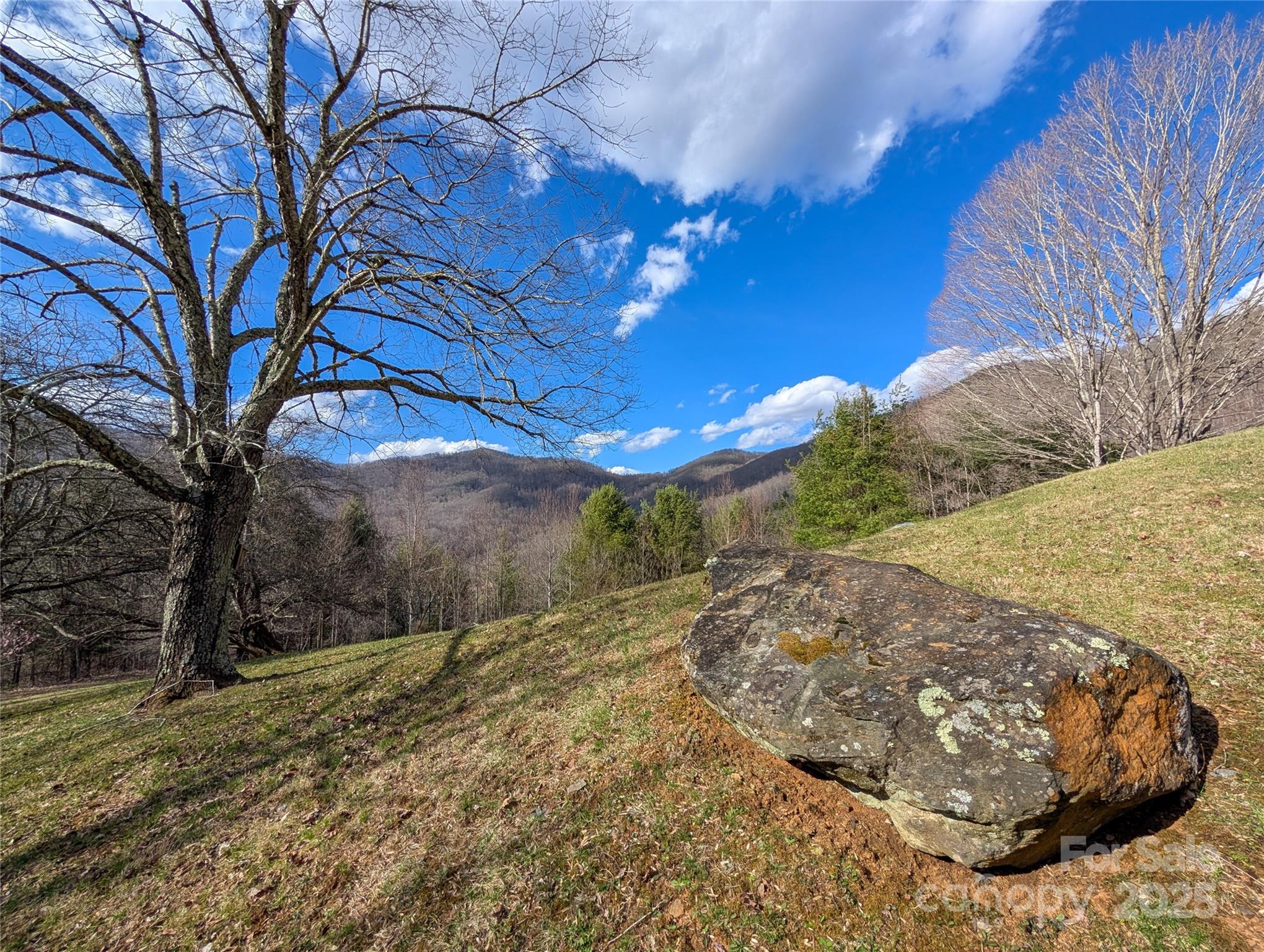 72 Pilgrims Lane Burnsville NC 28714
