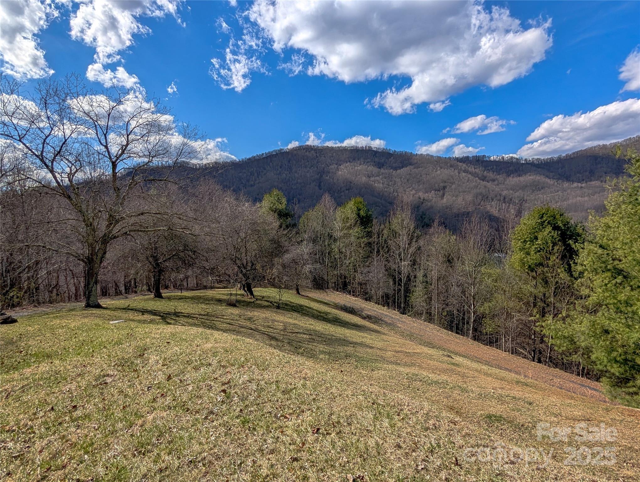 72 Pilgrims Lane Burnsville NC 28714