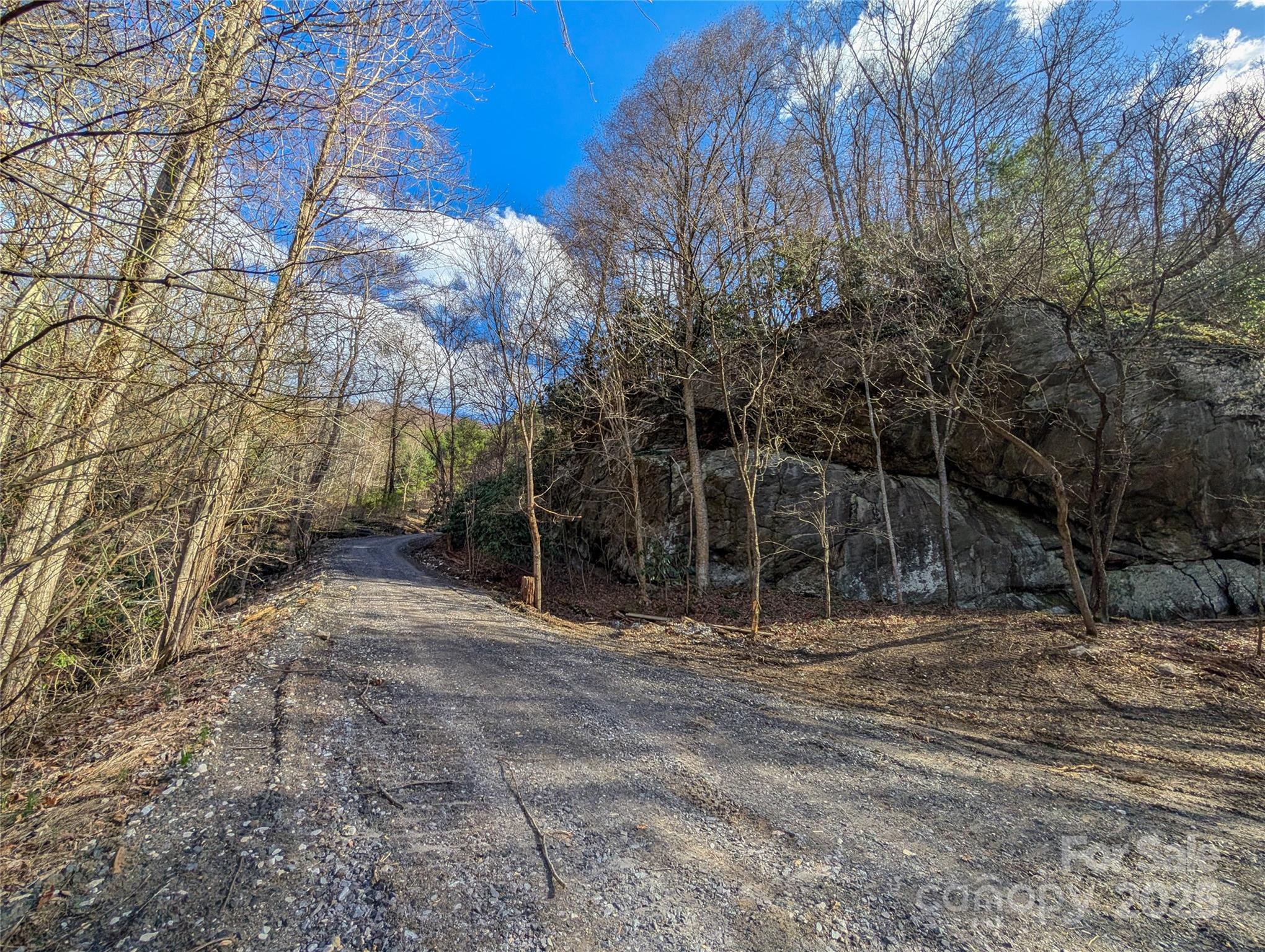 72 Pilgrims Lane Burnsville NC 28714