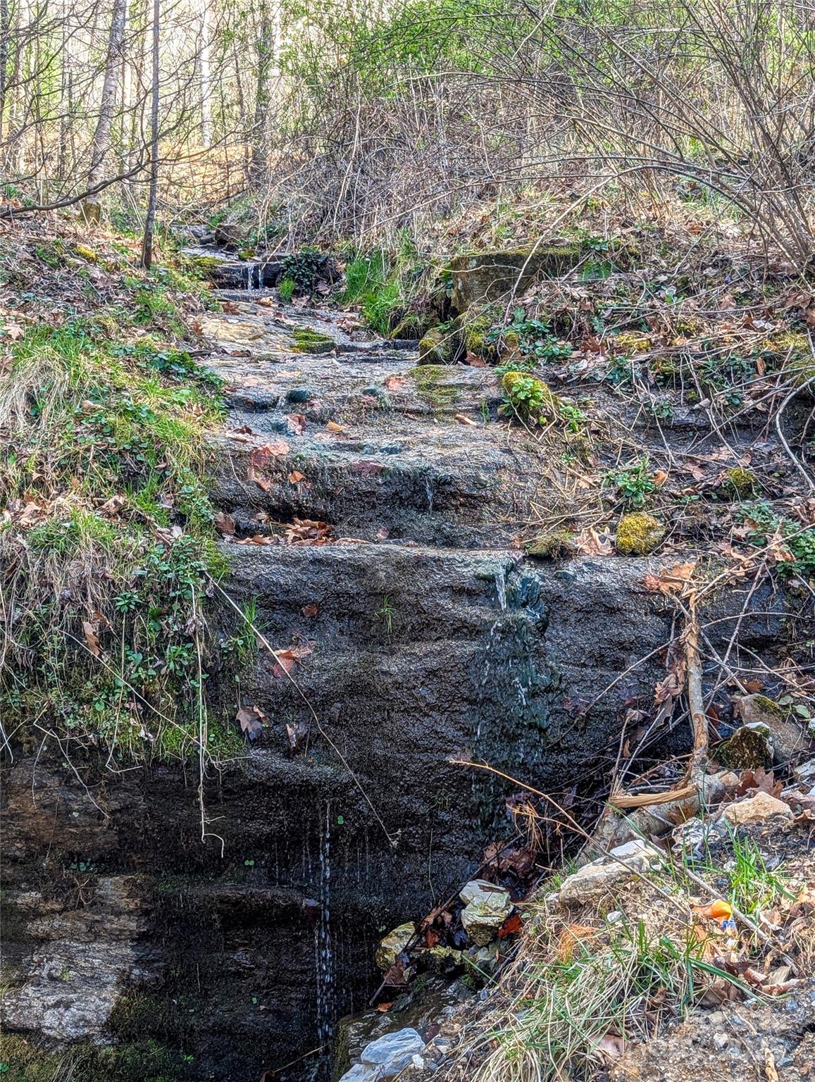 72 Pilgrims Lane Burnsville NC 28714