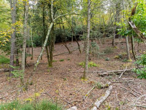 71 Happy Valley Drive Mills River NC 28759