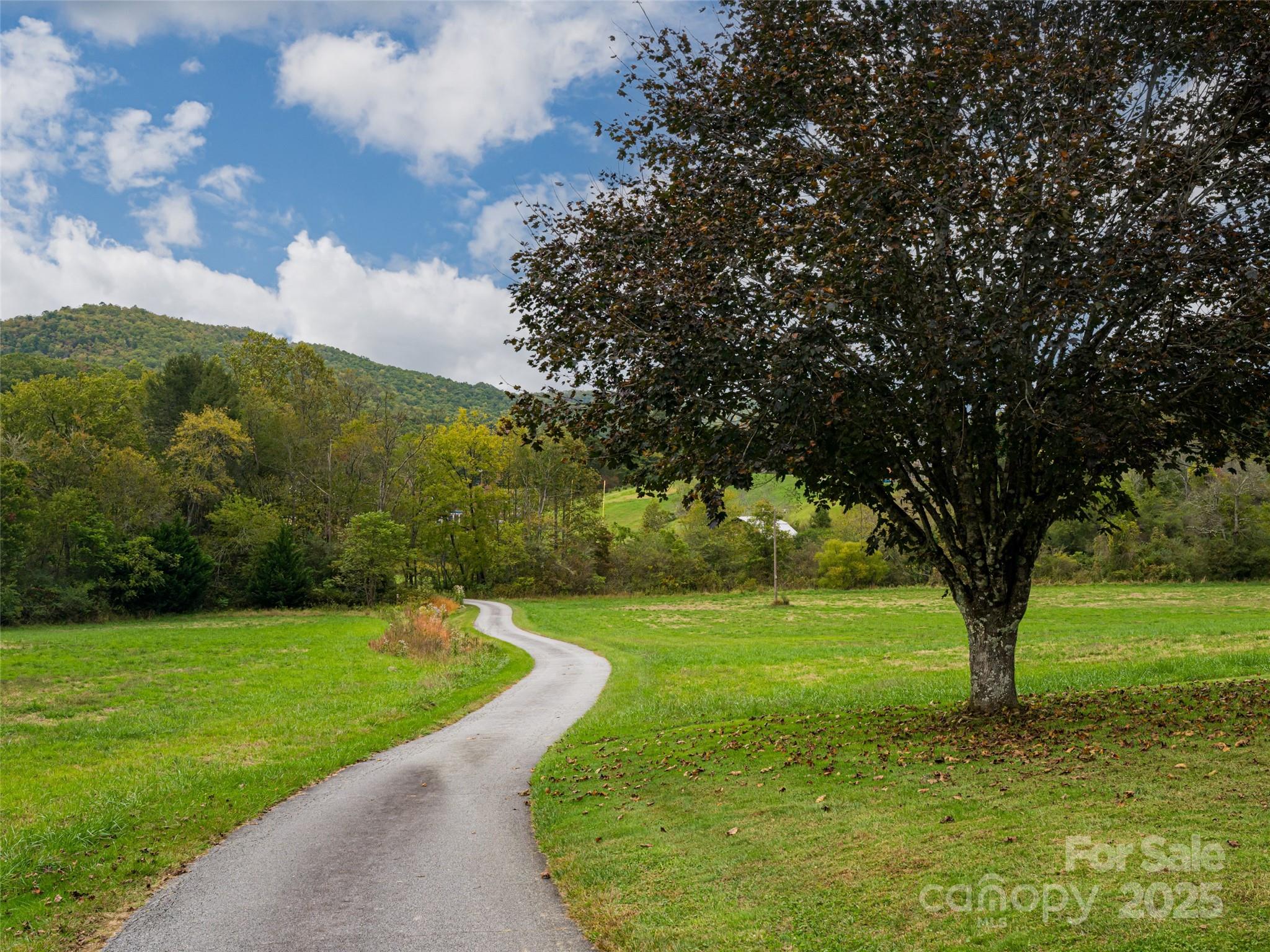 71 Happy Valley Drive Mills River NC 28759