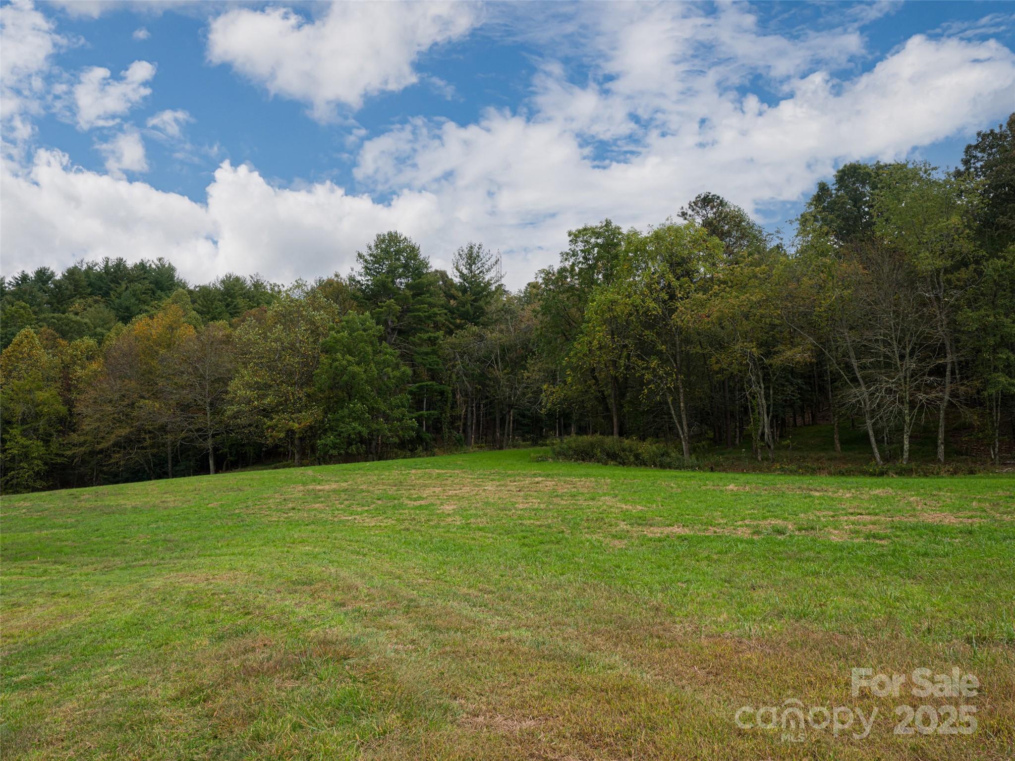 71 Happy Valley Drive Mills River NC 28759