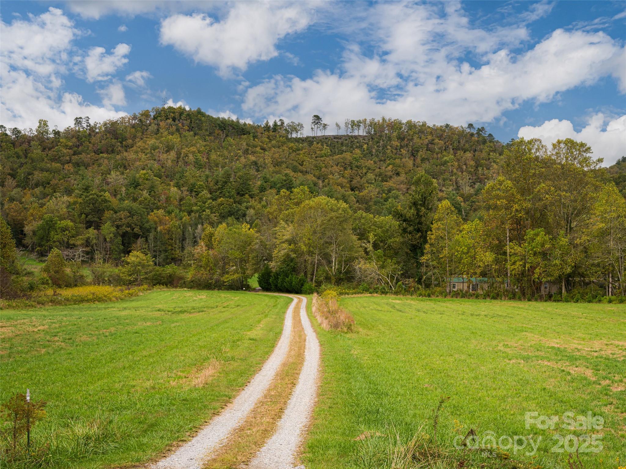 71 Happy Valley Drive Mills River NC 28759