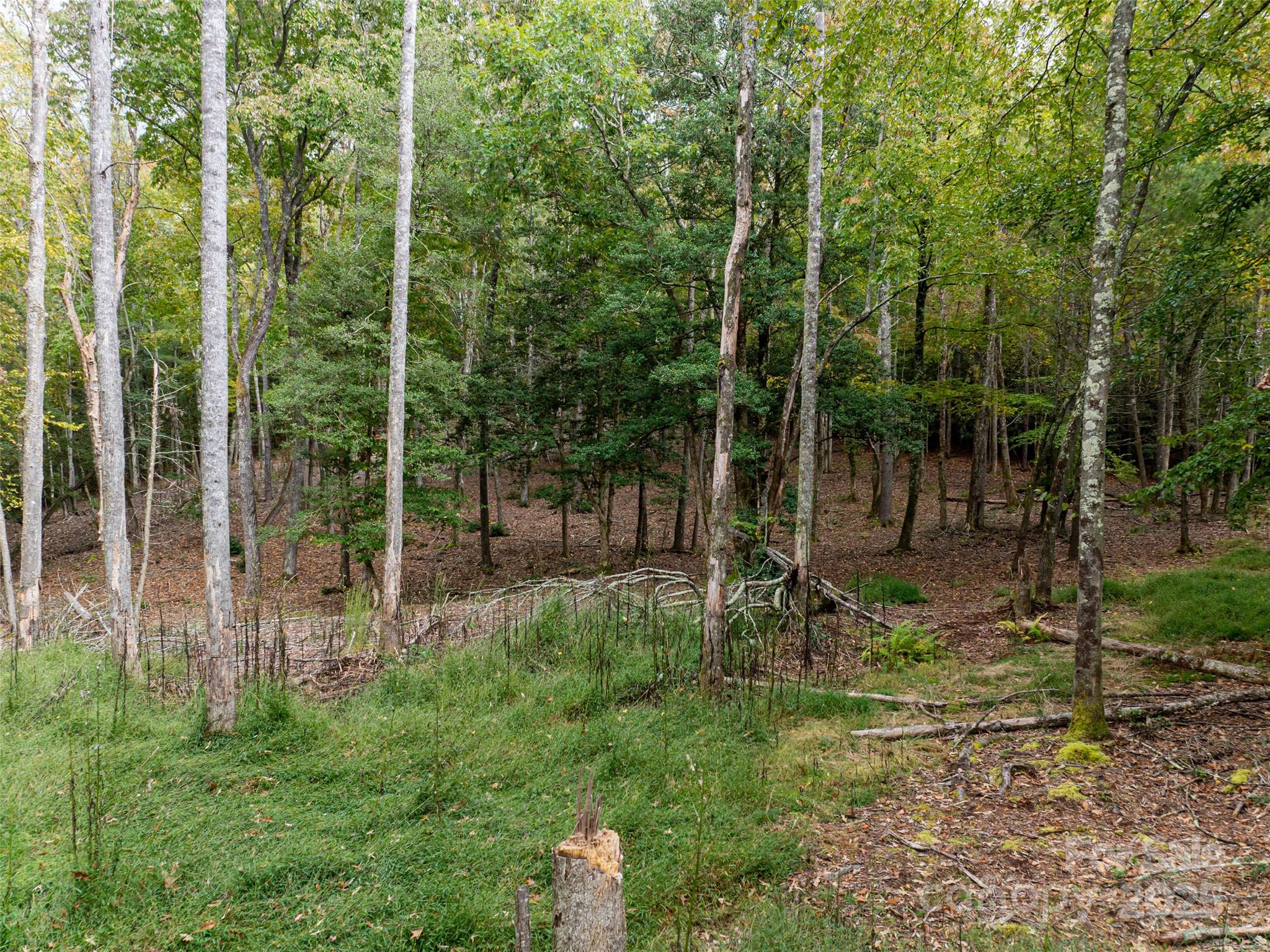 71 Happy Valley Drive Mills River NC 28759