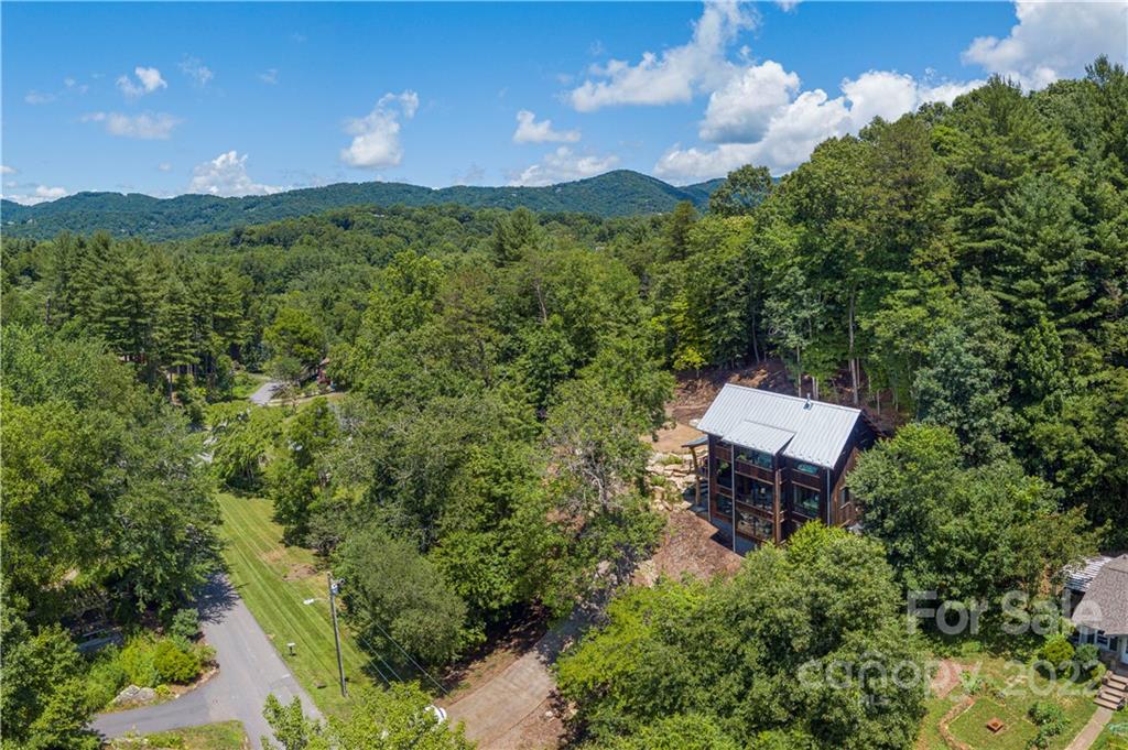 115 Hellbender Lane Asheville NC 28804