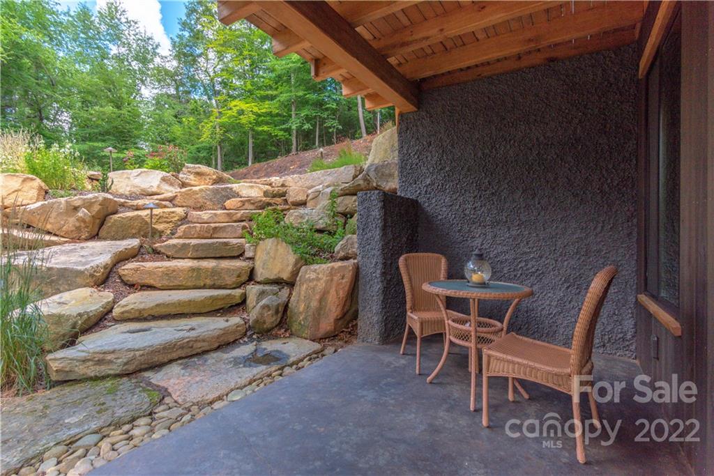 115 Hellbender Lane Asheville NC 28804