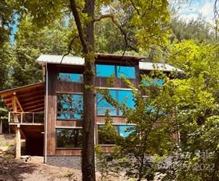 115 Hellbender Lane Asheville NC 28804