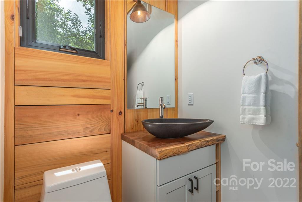 115 Hellbender Lane Asheville NC 28804
