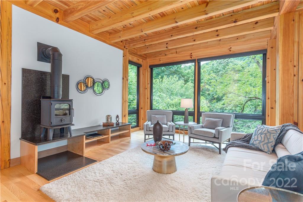 115 Hellbender Lane Asheville NC 28804