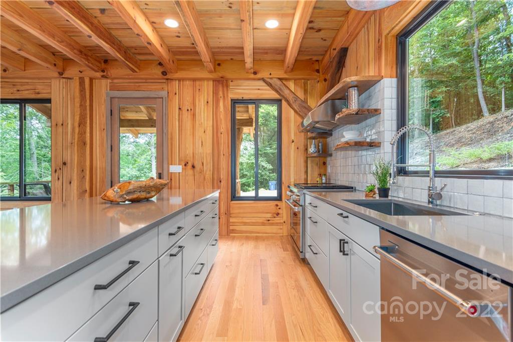 115 Hellbender Lane Asheville NC 28804