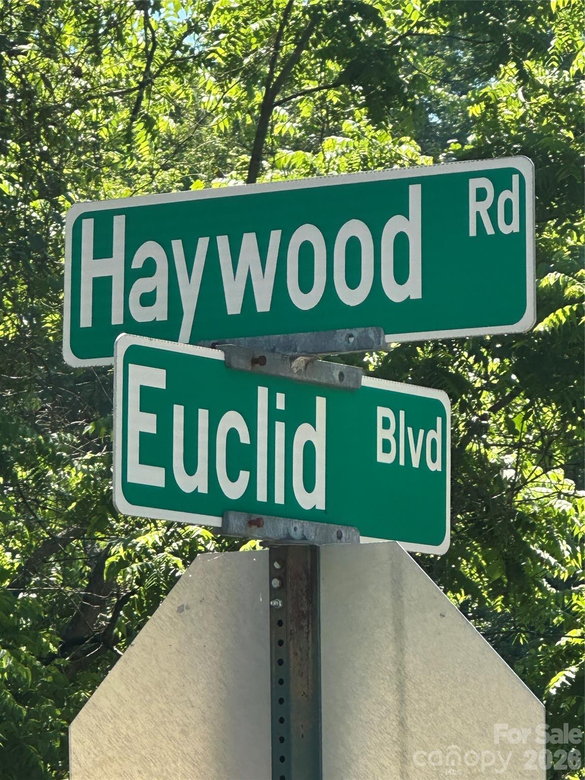 33 Euclid Boulevard Asheville NC 28806