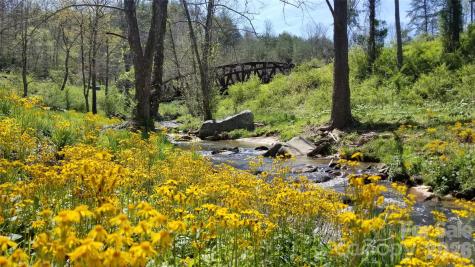 6 River Run Asheville NC 28804